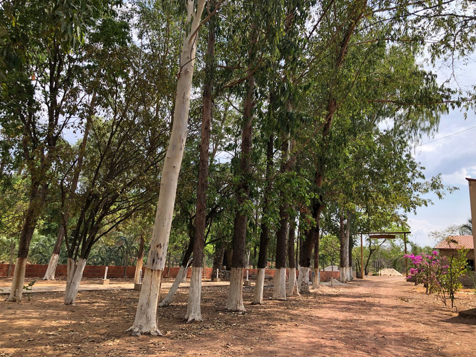 Pousada e Restaurante Rural Estância Jackeline