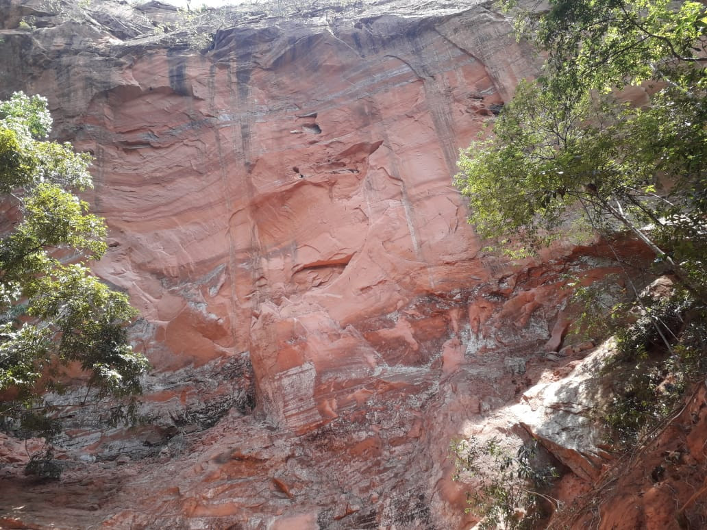 Área de Proteção Ambiental das Nascentes de Araguaína