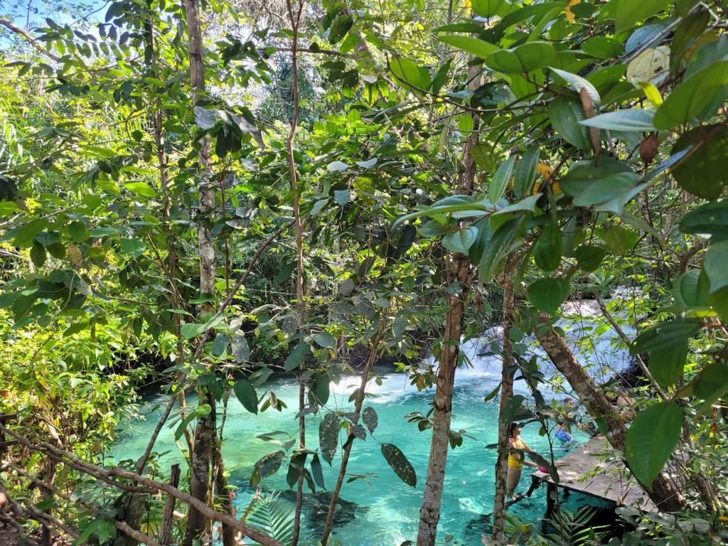 Cachoeira do Formiga