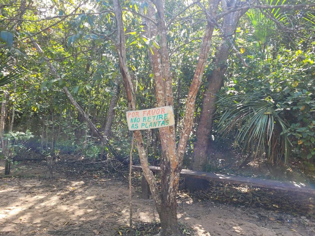 Cachoeira do Formiga