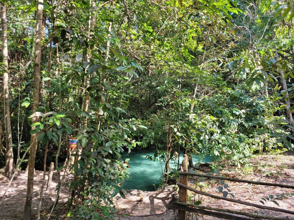 Cachoeira do Formiga