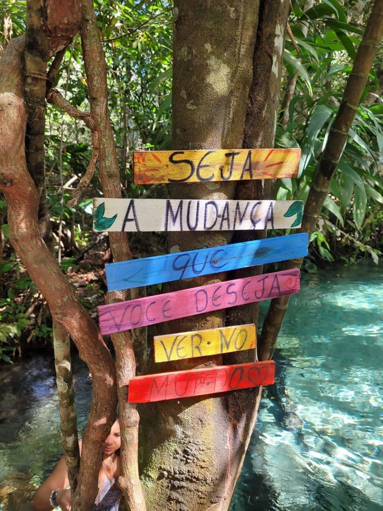 Cachoeira do Formiga