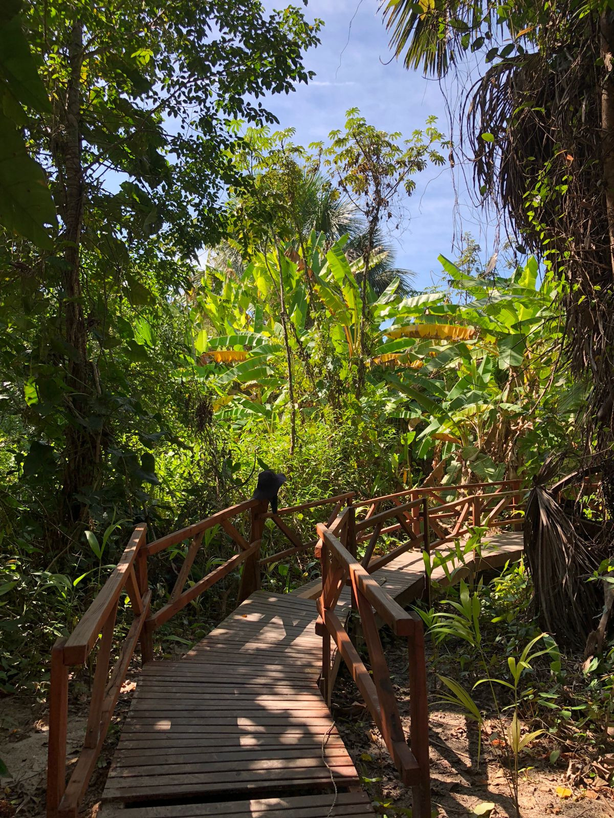 Fervedoura das Macaúbas