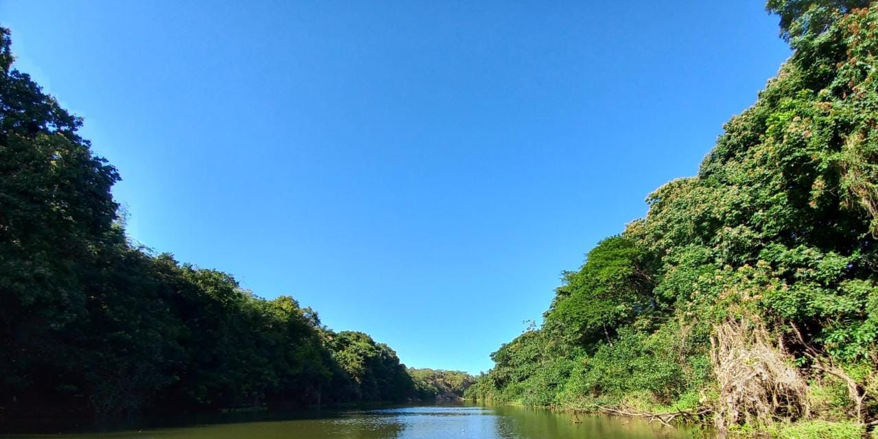 PARED&Atilde;O DO NEGO VELHO