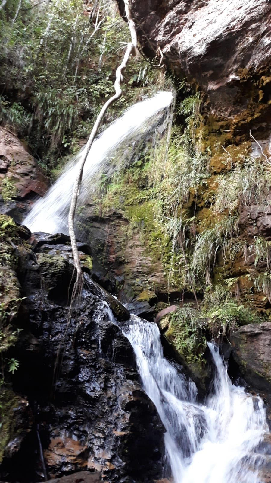 Trilha Respiro Profundo