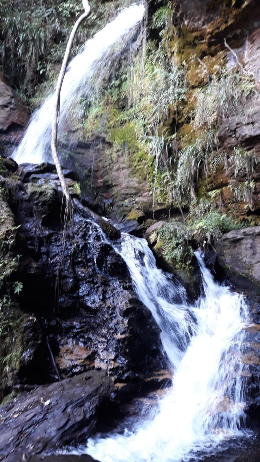 Trilha Respiro Profundo