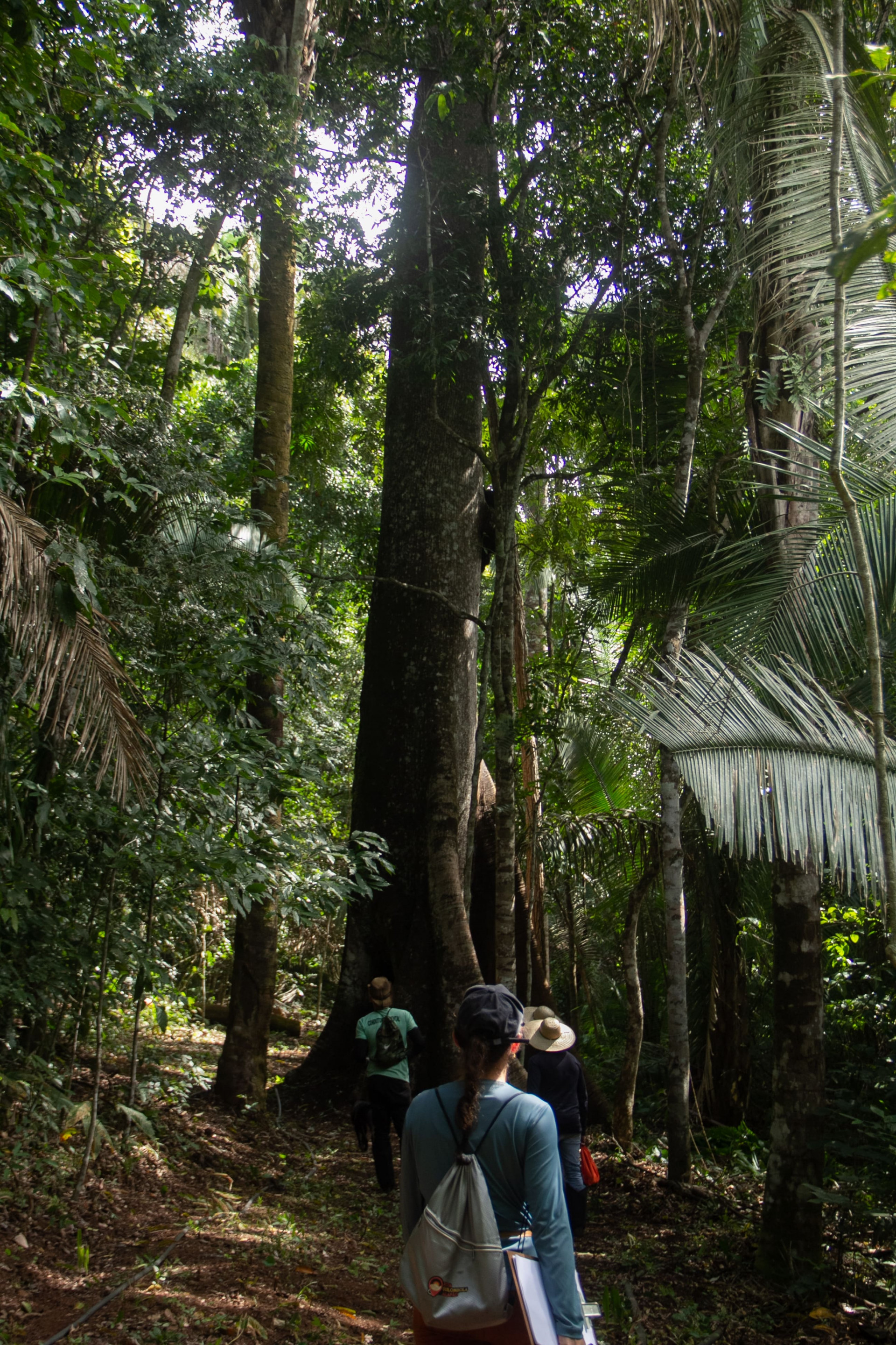 Cachoeira do Kael- Gruta