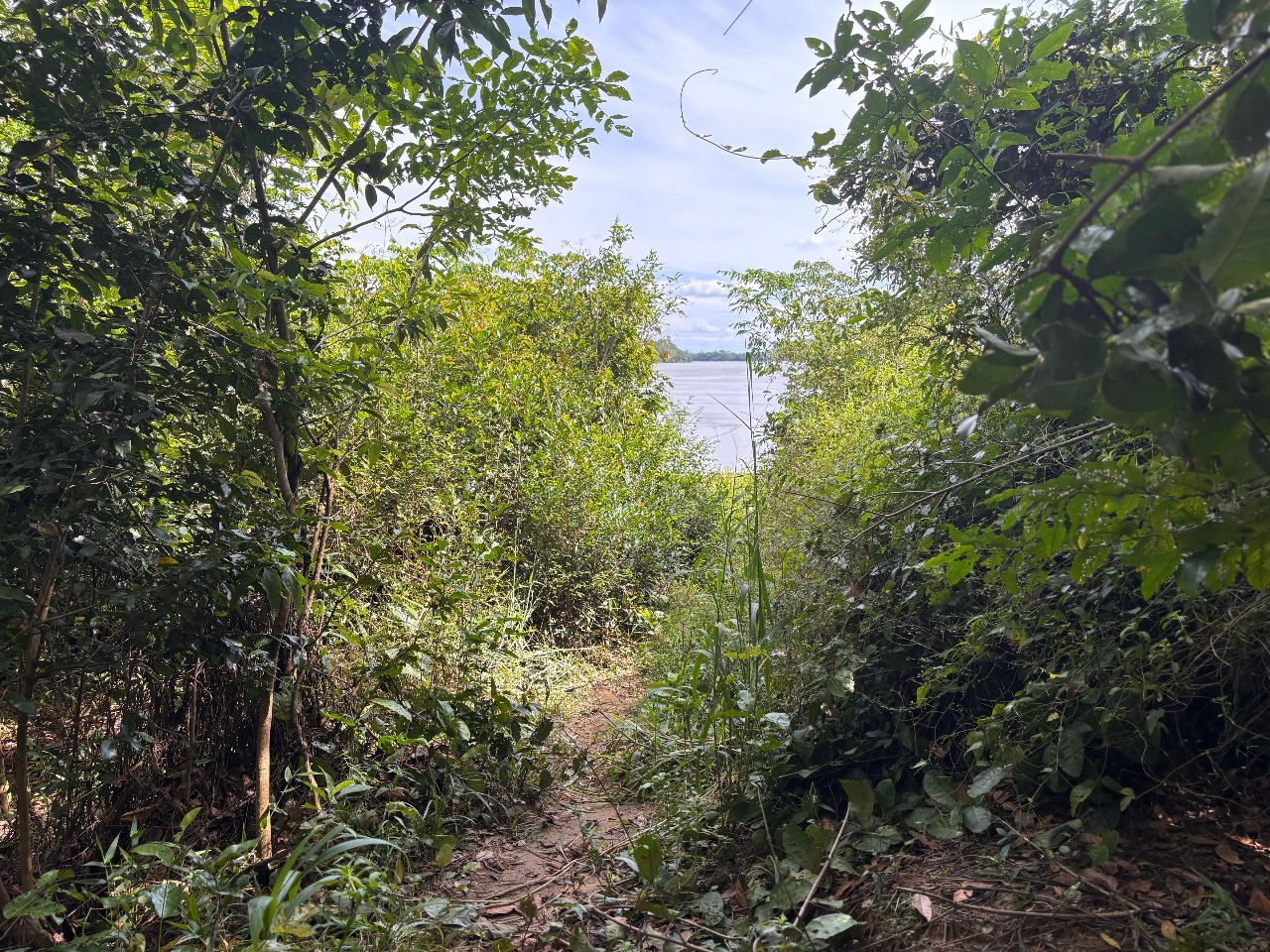 Lajeiro/Pedral de Palmeirante