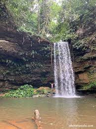 CERRADO SELVAGEM ECOTURISMO