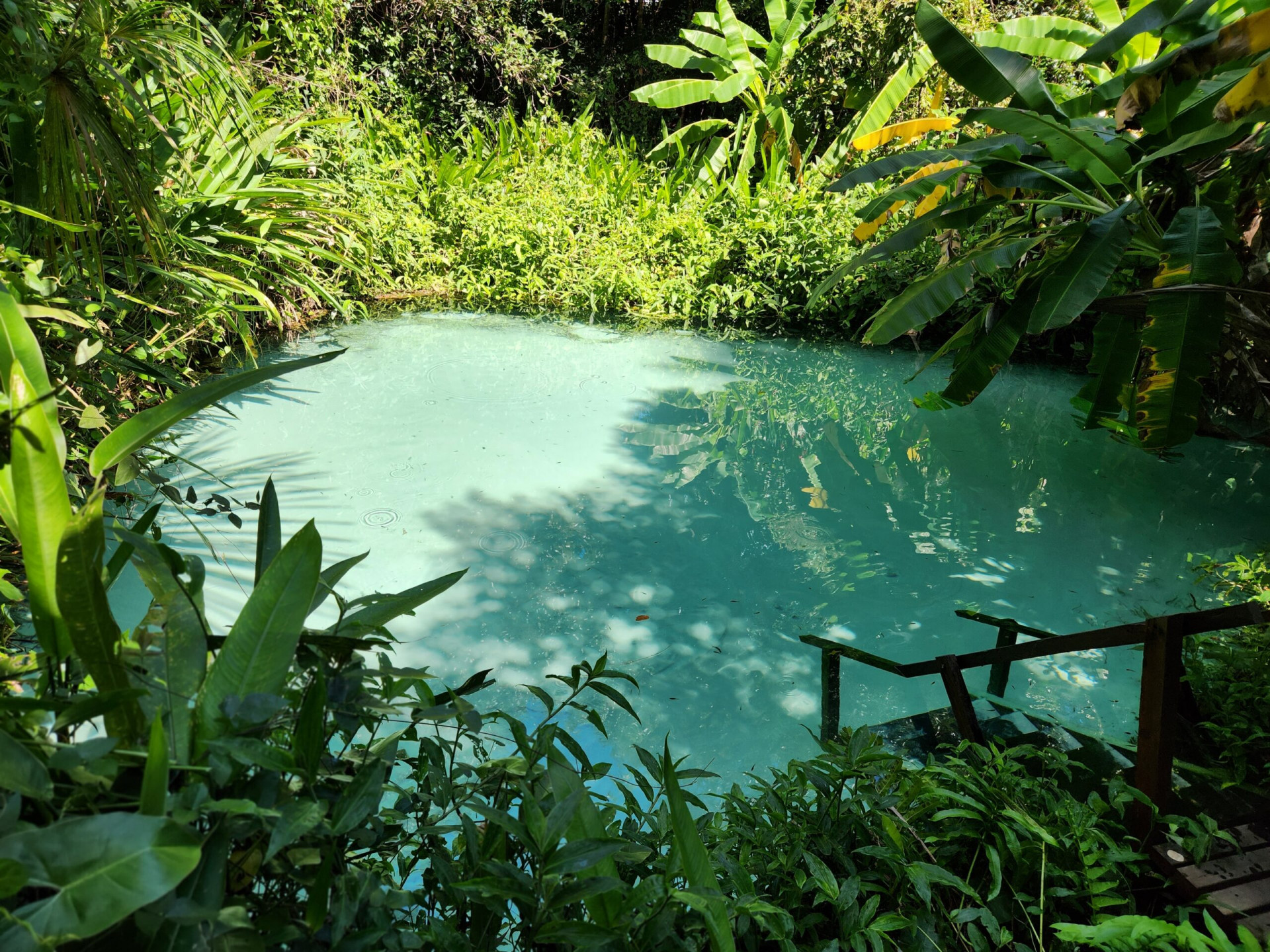 CERRADO SELVAGEM ECOTURISMO