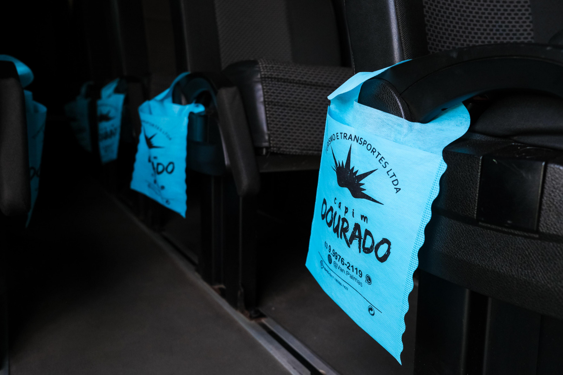 CAPIM DOURADO TURISMO E TRANSPORTES