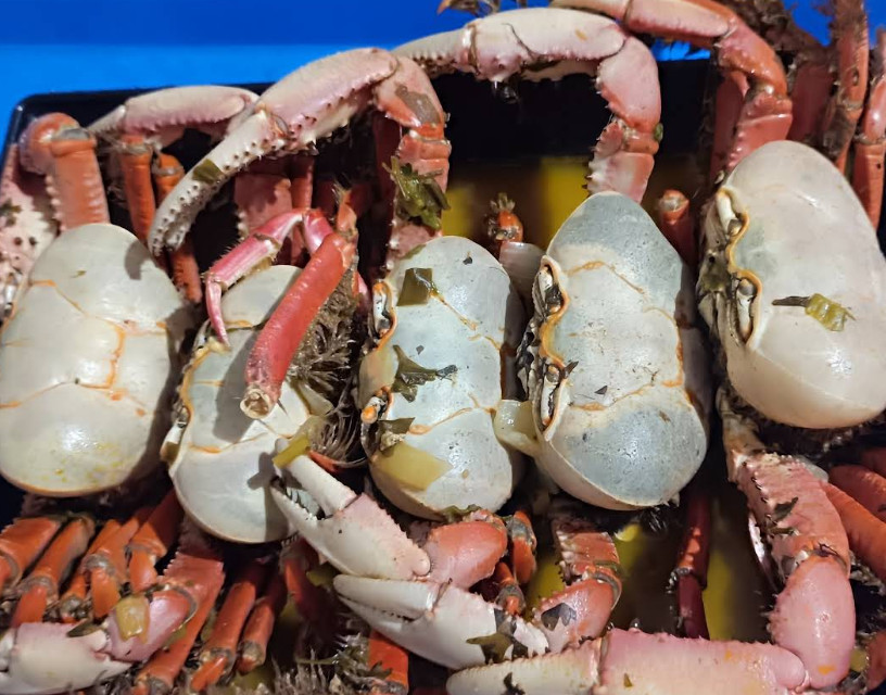 Estação do Marisco