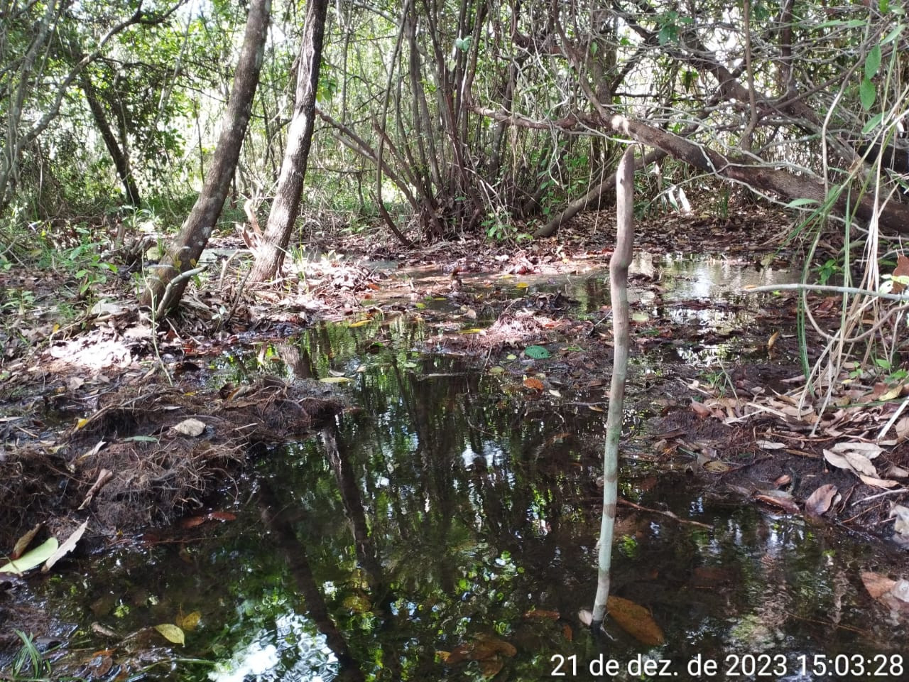 Área de Proteção Ambiental das Nascentes de Araguaína