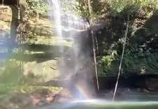 Fenix Jalapao Transporte E Turismo